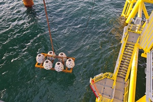 TenneT installs artificial reefs near offshore platform Hollandse Kust west alpha Artificial Reefs 3